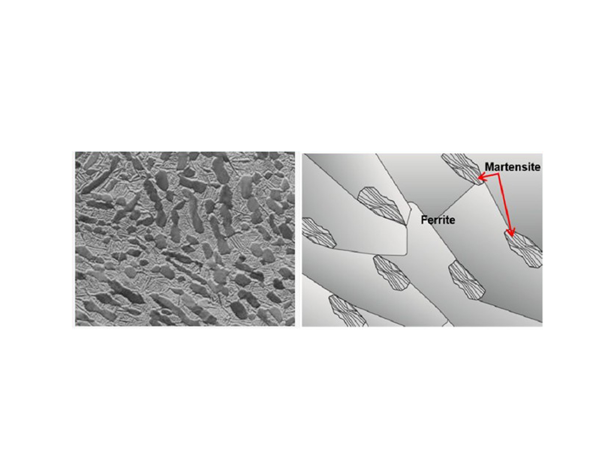 武井の体系世界史　構造的理解へのアプローチ 武井の体系世界史 構造的理解へのアプローチ - メルカリ